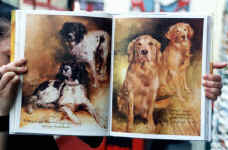 dogs1.jpg (30747 bytes)