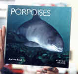 porpoises.JPG (30647 bytes)