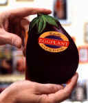 eggplant.JPG (27678 bytes)