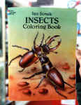 insects.JPG (35505 bytes)