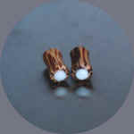 cocoplug-2ga.JPG (14890 bytes)